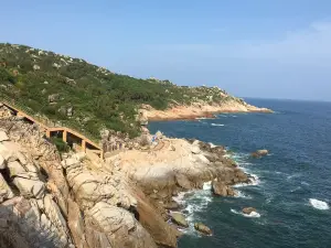 Turtle National Reserve Areas