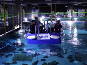 Sea Life COEX Aquarium