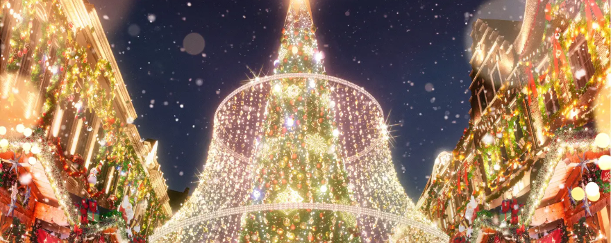 ฮุส เทน โบส