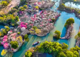 西溪國家濕地公園