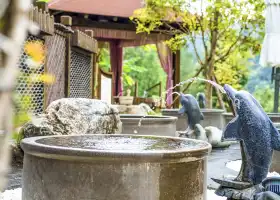 石阡佛頂山溫泉小鎮