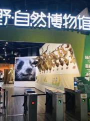 Shiye Natural Museum