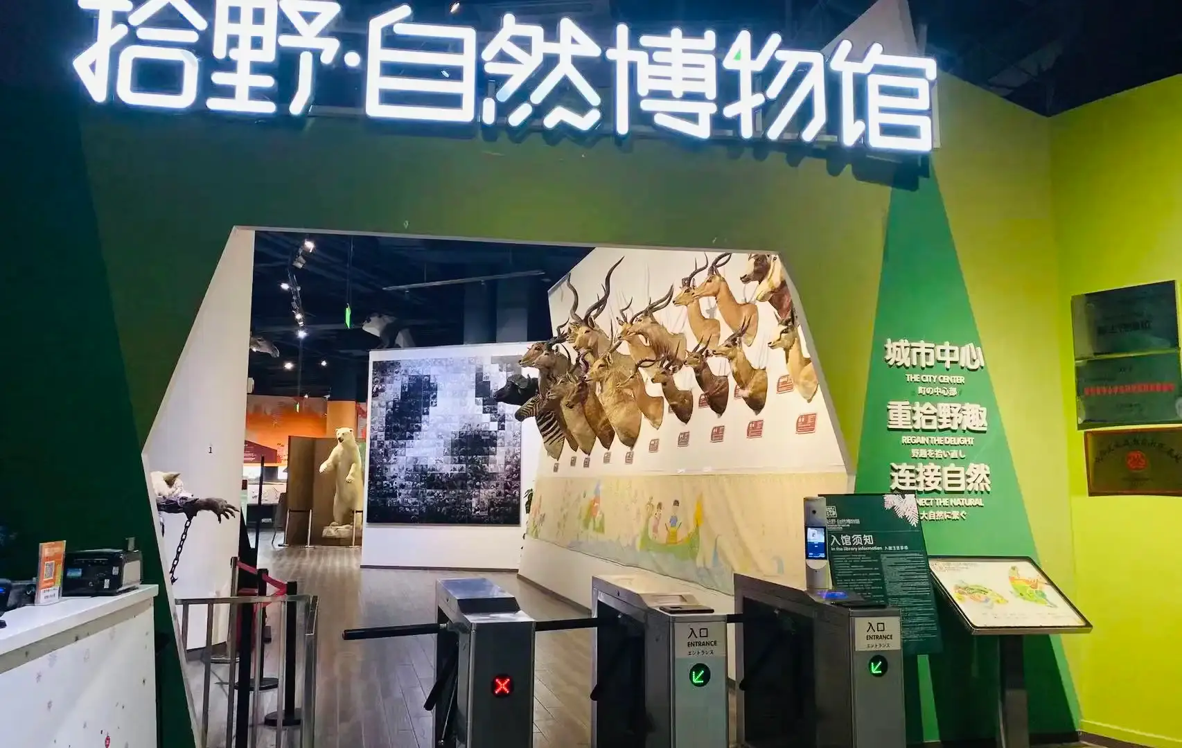 Hotels near Shiye Natural Museum