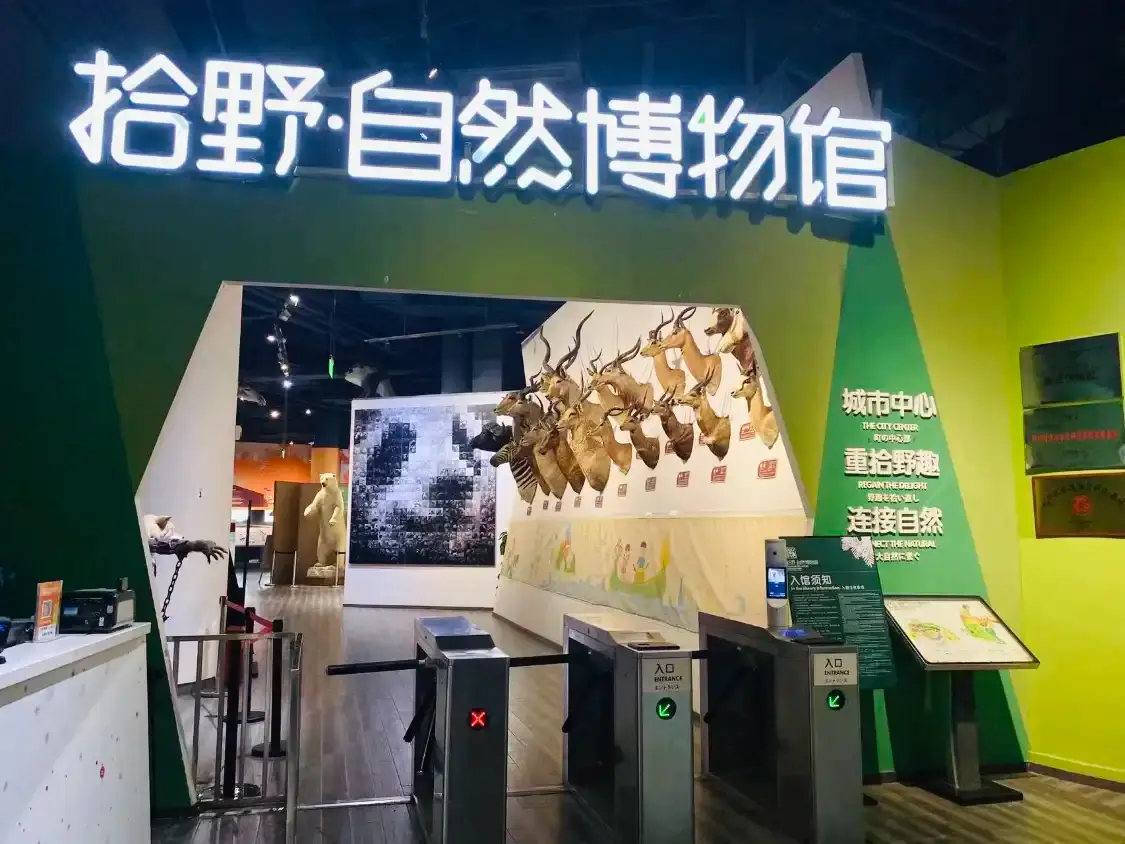 Hotels near Shiye Natural Museum