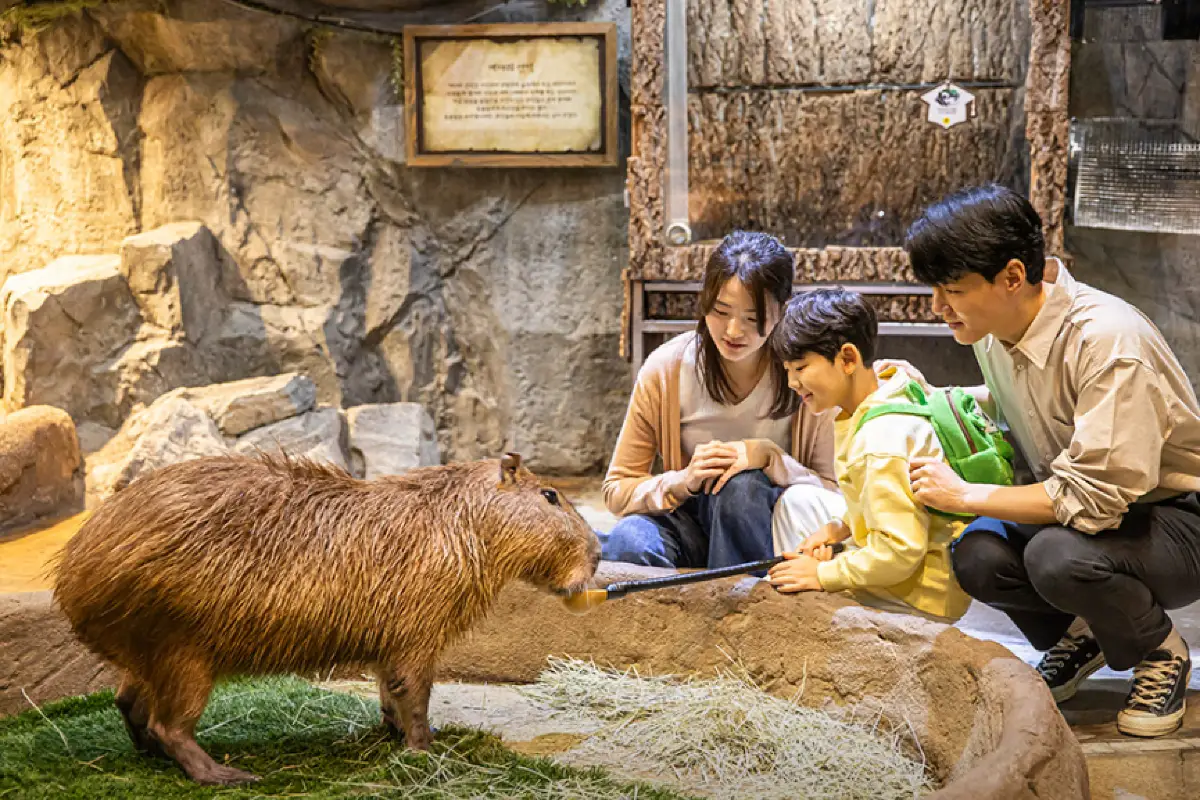 아기 데리고 갈만한 곳 실내