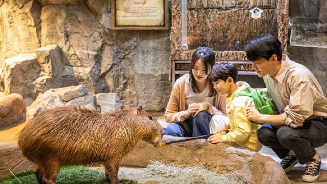 Zoolung Zoolung Animal Theme Park (HANAM)