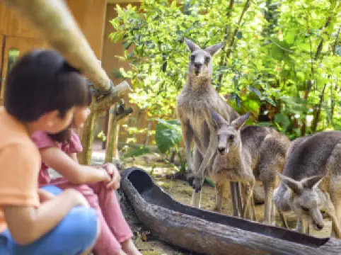 Mandai Wildlife Reserve
