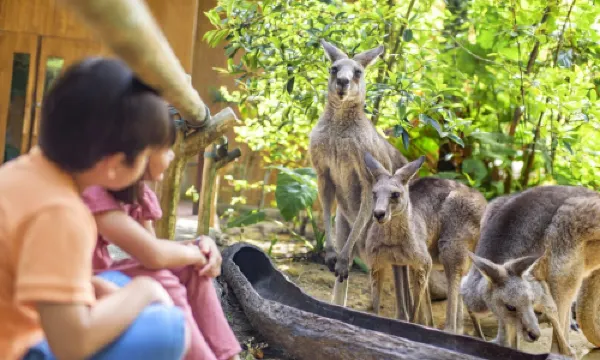 Mandai Wildlife Reserve