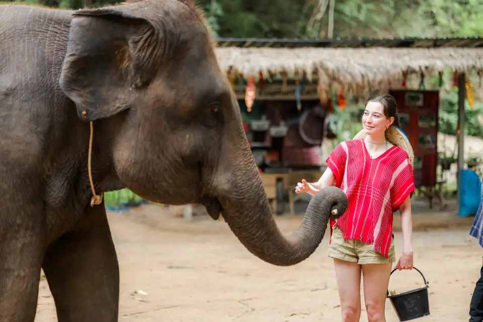 3_Kerchor​ elephant​ eco​ park​