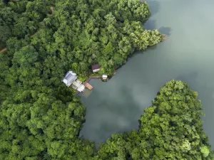 Shenyu Island