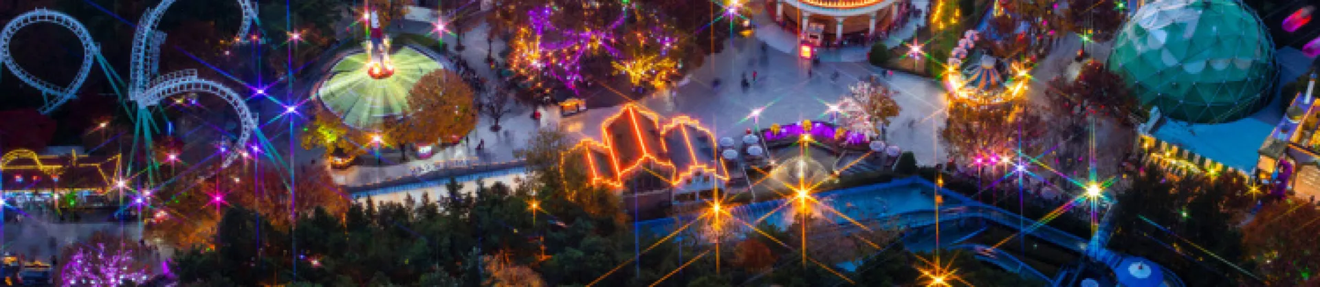 Night Attractions