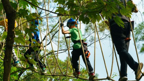 Dayan Mountain Flying Over the Jungle Adventure Park