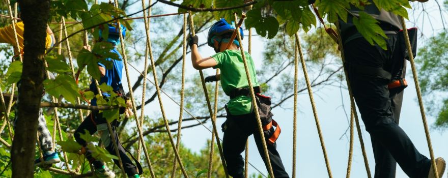 Dayan Mountain Flying Over the Jungle Adventure Park