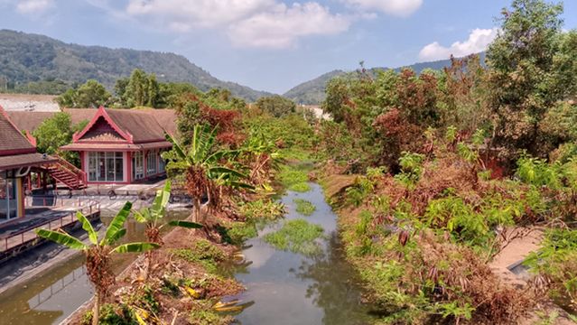 Freedom Elephant Reserve Phuket
