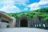 石濤六山人 圭文館 816工程景區門票【2026】- 預約、開放時間、評論及資訊| Trip.com
