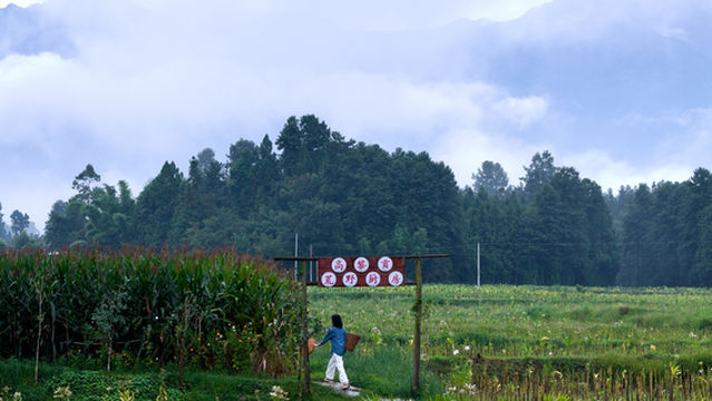 Gaoligong Wilderness Kitchen