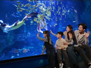 鄭州海洋館