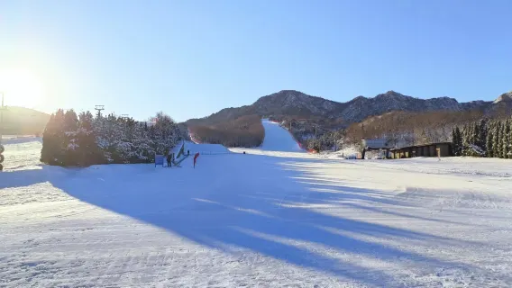 滑雪