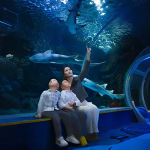 觀瀾海洋世界