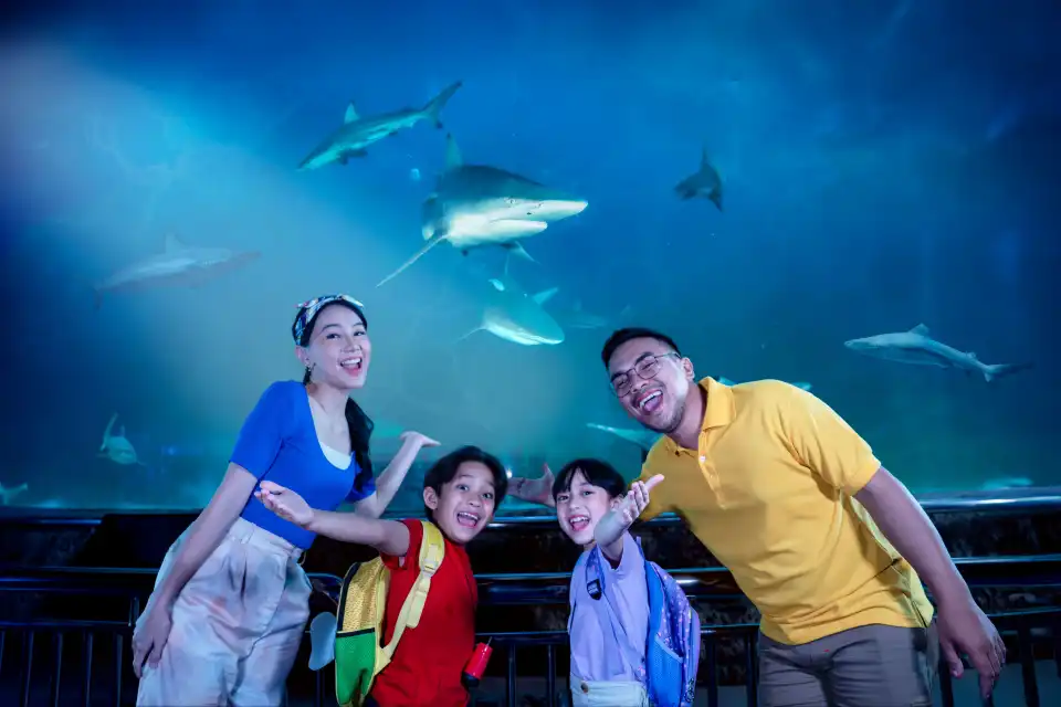 2_Sea World Ancol