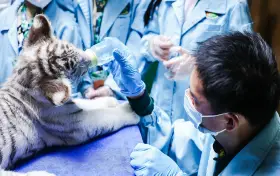 Chimelong Safari Park