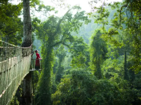 สวนสาธารณะแห่งชาติป่าฝนเขตร้อนซิซุงปันนา