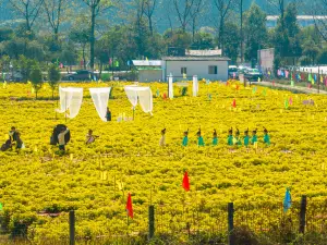 宜春明月山旅遊區