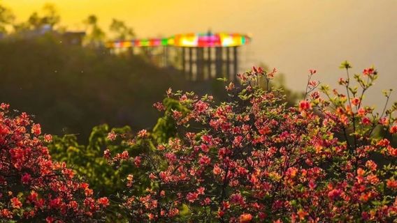 Tianmazhai Scenic Area in Yingshan County