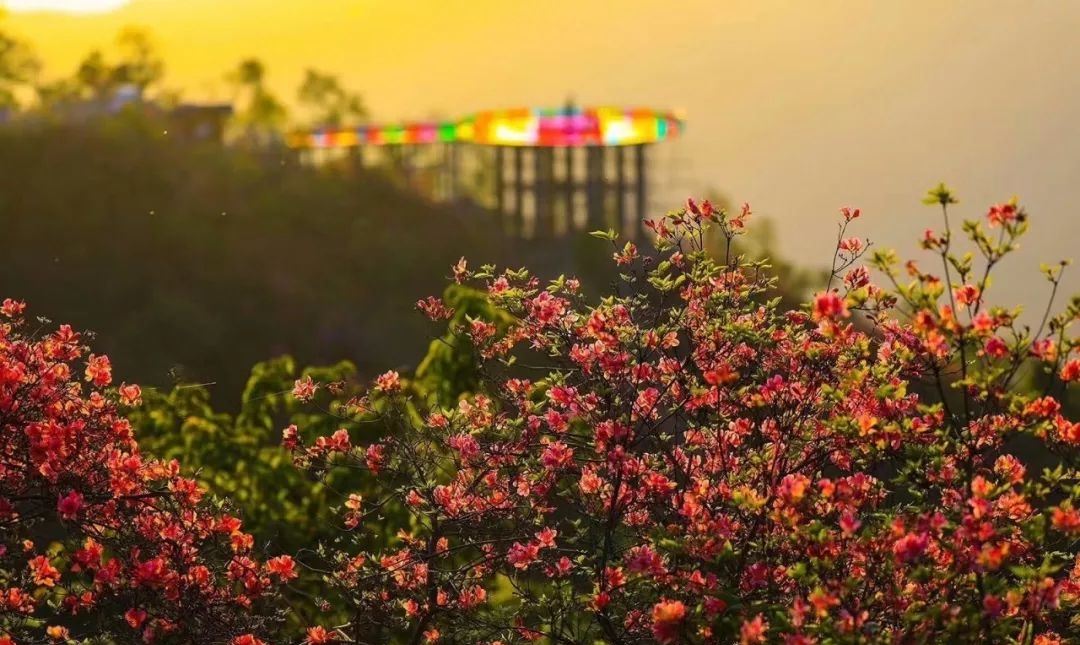 Tianmazhai Scenic Area in Yingshan County