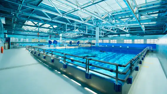 홍콩 오션파크 환승 [홍콩공항/서구룡/구룡/침사추이/코즈웨이베이/취안완/홍콩 디즈니랜드/오션파크 차량 이용]