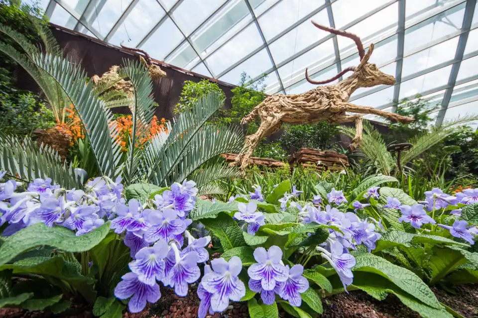 1_Flower Dome