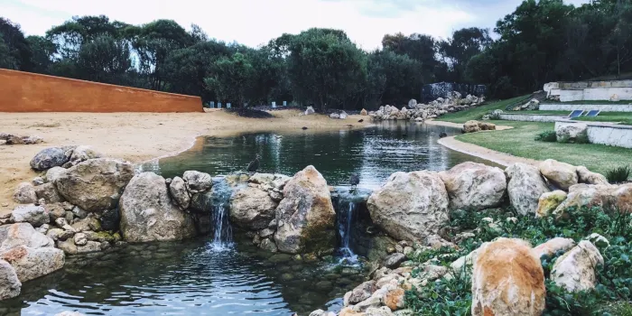 Peninsula Hot Springs image 1