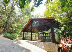 Tropical Spice Garden
