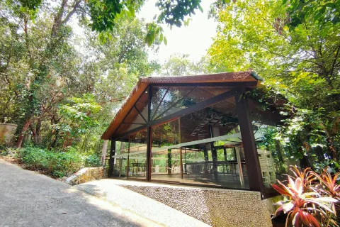 Tropical Spice Garden