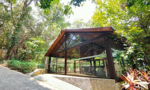 Tropical Spice Garden