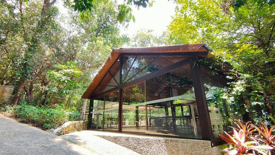 Tropical Spice Garden