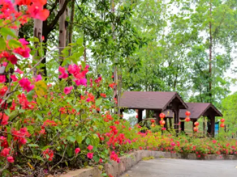 จุดชมวิวภูเขากวนอิม