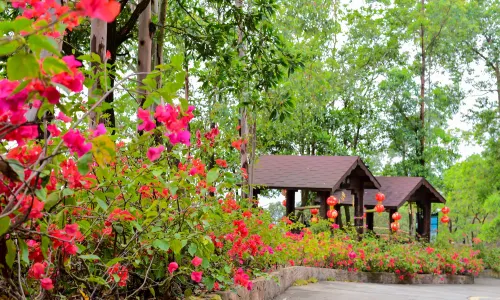 National Forest Park of Guanyin Mountain
