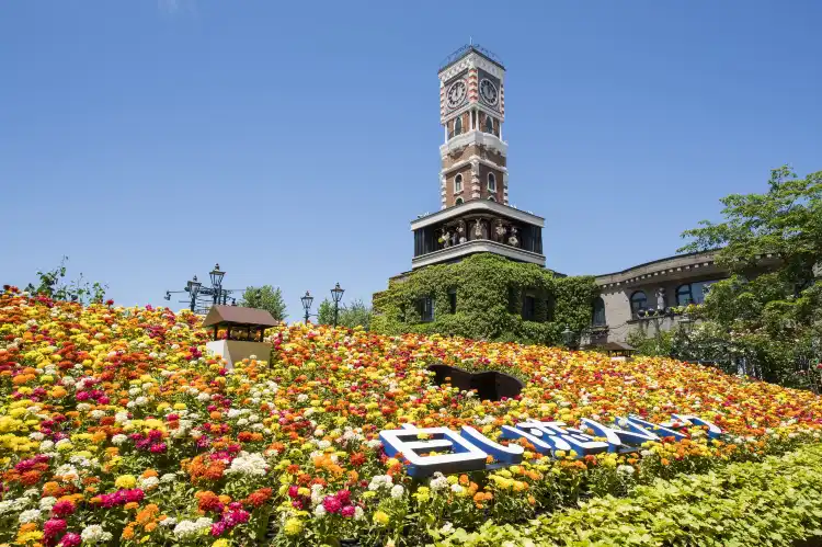 Hotels near Shiroi Koibito Park