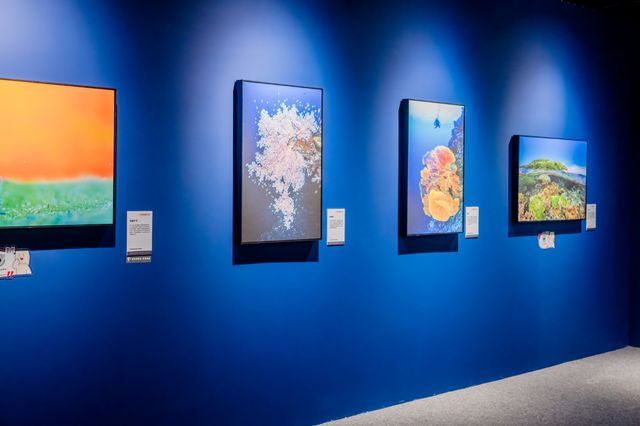 Chinese National Geography Explore exhibition (Haikou) | Haikou