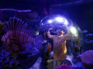Sea Life COEX水族館