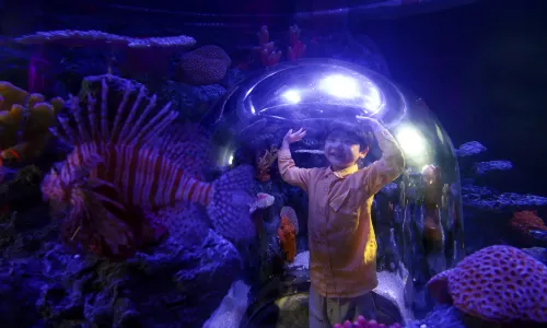 SEA LIFE COEX, Seoul Aquarium