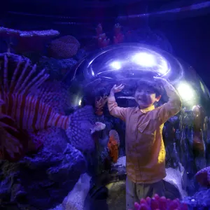Sea Life COEX水族館