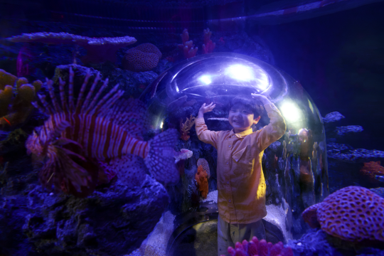 Sea Life COEX水族館