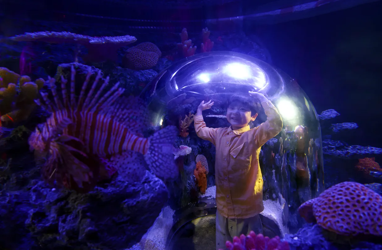 3_Sea Life COEX水族館