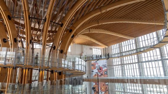 Babbuza Dreamfactory