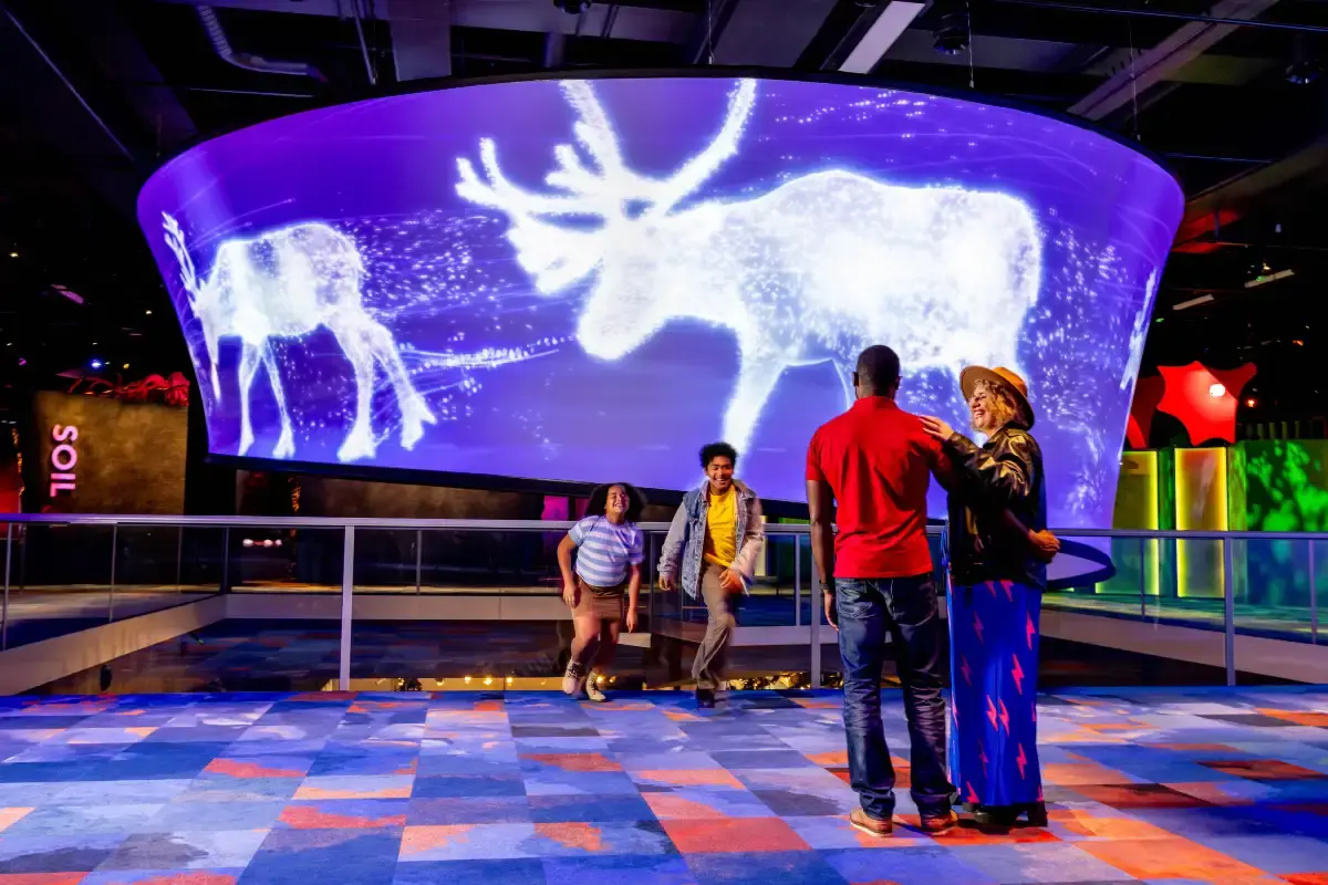 Melbourne Museum