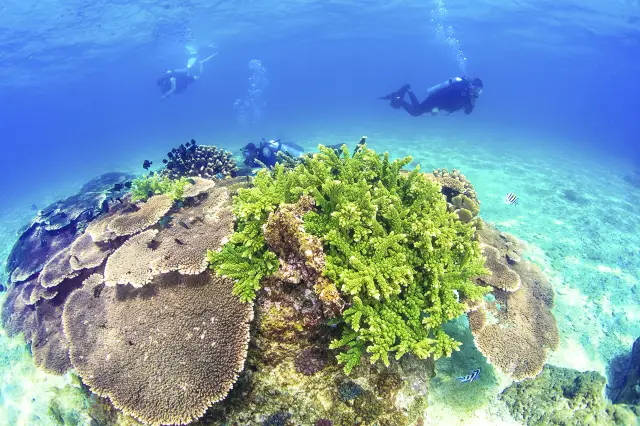 Diving in Lingshui