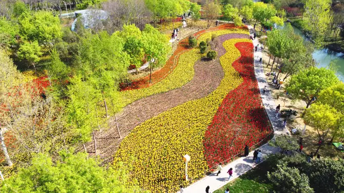 4_สวนนิทรรศการสีเขียวของจีน