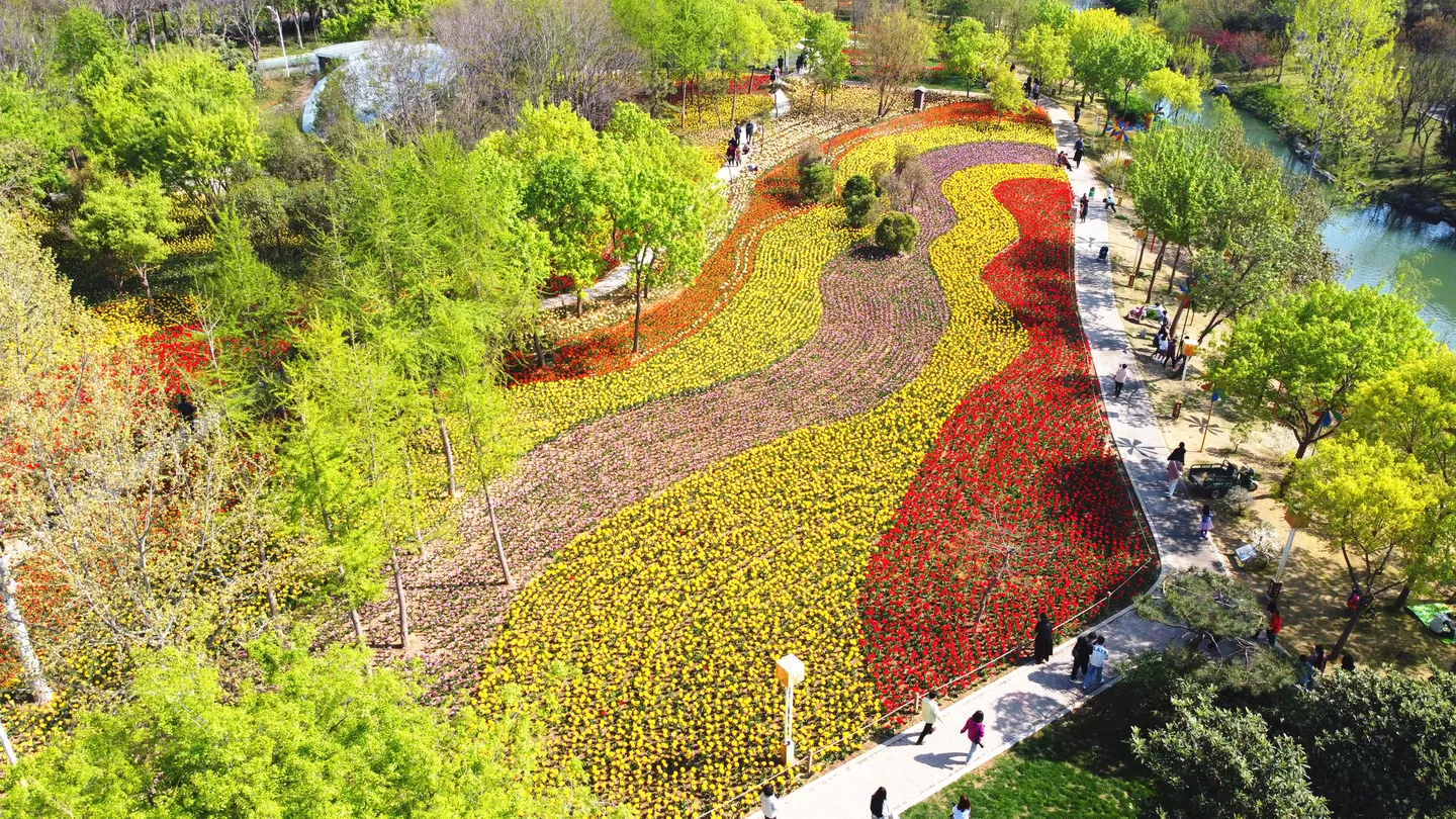 4_สวนนิทรรศการสีเขียวของจีน